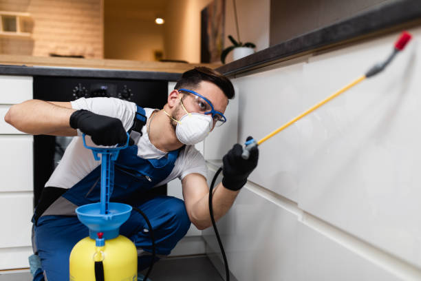 Best Affordable Pest Control Services  in Palmview, TX