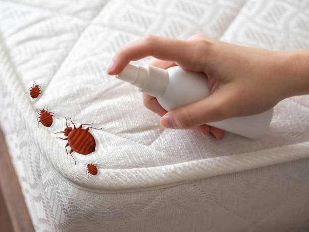 Best Commercial Pest Control Services  in Palmview, TX